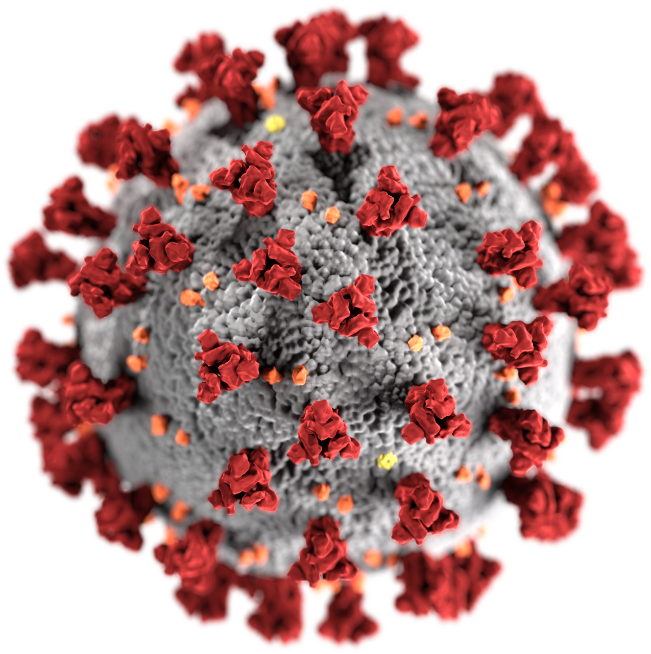 COVID Virus